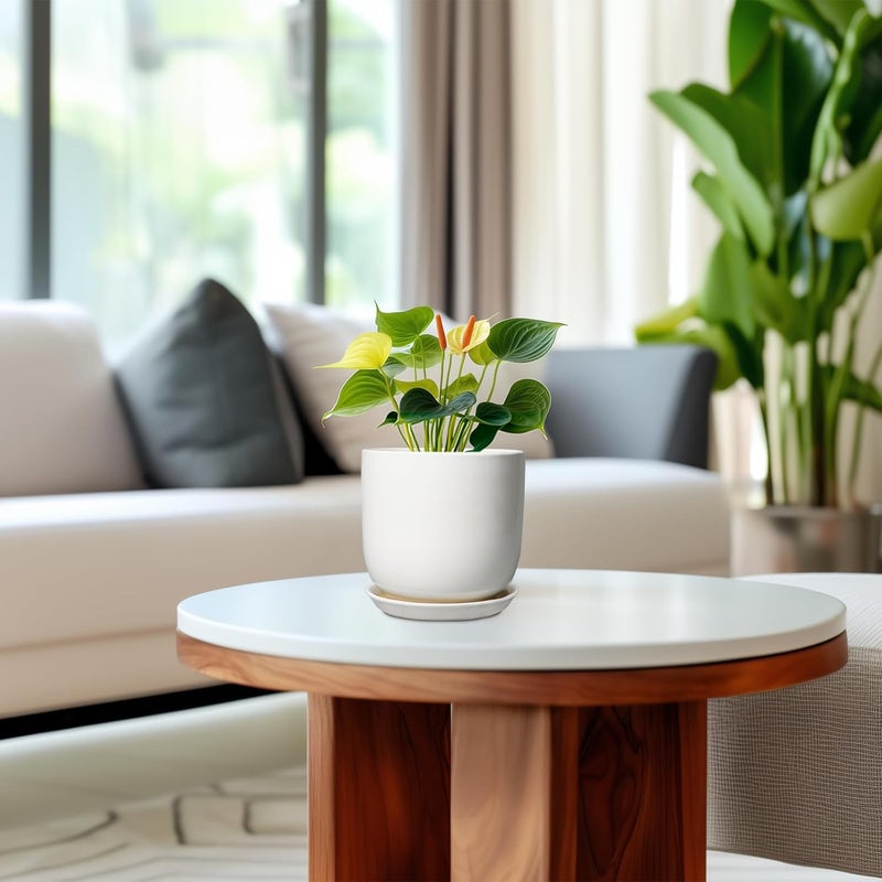 SUNPOTFOR Store Indoor Plant Pot 5 Inch - Round Ceramic Planter for Succulent Plants with Drainage Hole and Saucer, Modern Home Decor, White - Image 4